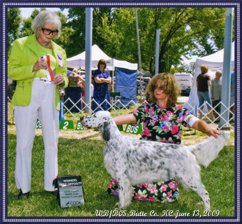 Abby WB/BOS Butte Co. KC Show June 13, 2009