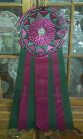 Best Junior Rosette