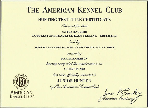 Jackson's Junior Hunter Certificate