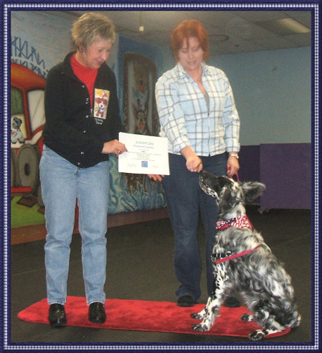 Bella Graduates Puppy Class II