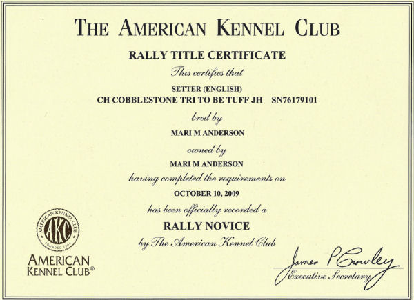 Rally Novice Certificate